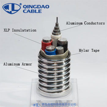 Quality Inspection for 10 Awg 6 Awg Copper Wire -
 Type MC cable electrical wire stranded Aluminum conductors XLPE/XLP insulation Al armored low Voltage for building/power/control – Cable